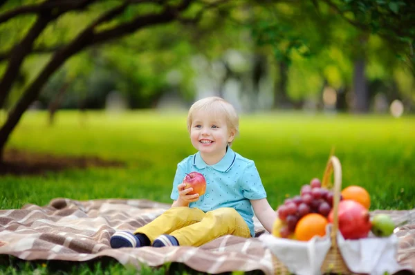 Hermoso niño haciendo un picnic en el soleado parque de verano — Foto de Stock