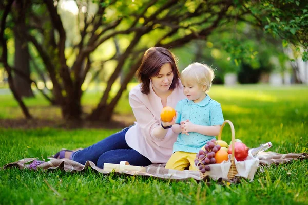 Hermoso niño con su joven madre haciendo un picnic en el soleado parque de verano — Foto de Stock