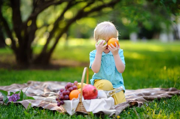Прекрасный маленький мальчик устраивает пикник в летнем солнечном парке — стоковое фото
