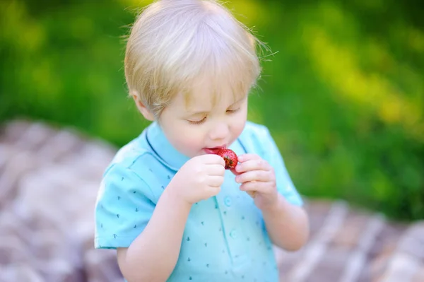 Hermoso niño comiendo fresa durante el picnic en el parque de verano — Foto de Stock