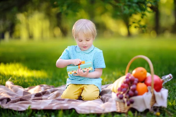 Niño pequeño abriendo regalo bien envuelto durante el picnic en el parque soleado — Foto de Stock