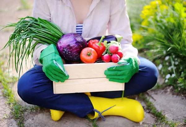 Trädgårdsmästare håller trälåda med färska ekologiska grönsaker från gården — Stockfoto