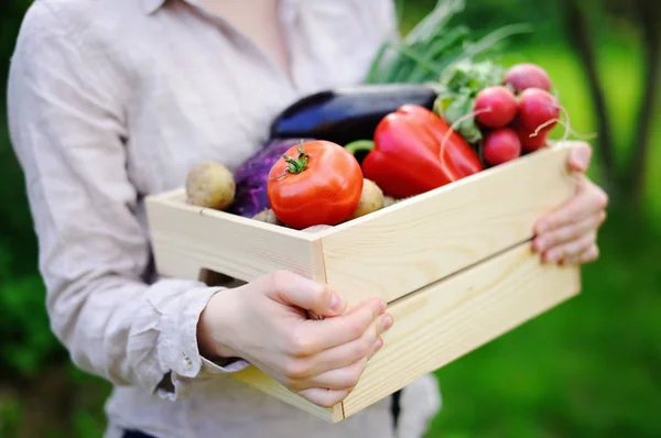 庭師の農場から新鮮な有機野菜を使った木箱を保持 — ストック写真