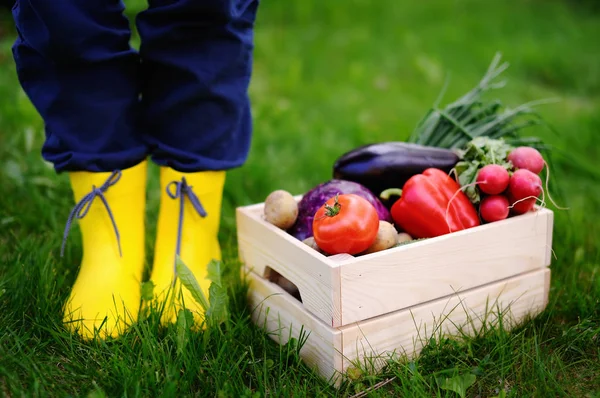 Trälåda med färska grönsaker från gården — Stockfoto