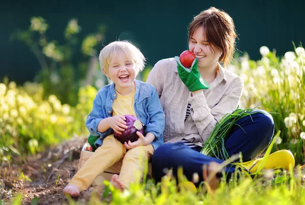 Junge Frau und ihr entzückender kleiner Sohn genießen die Ernte — Stockfoto