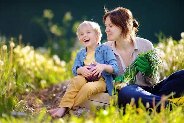 Молода жінка і її чарівний маленький син насолоджуються врожаєм — стокове фото