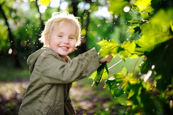 Portret ładny szczęśliwy małego chłopca, zabawy w parku lato po deszczu — Zdjęcie stockowe