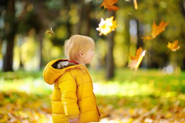 Sonbahar yaprakları ile eğleniyor mutlu sevimli yürümeye başlayan çocuk