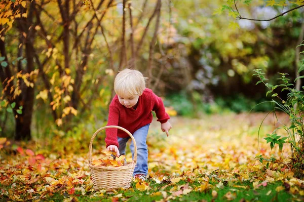 Niño divirtiéndose en el parque / bosque de otoño — Foto de Stock