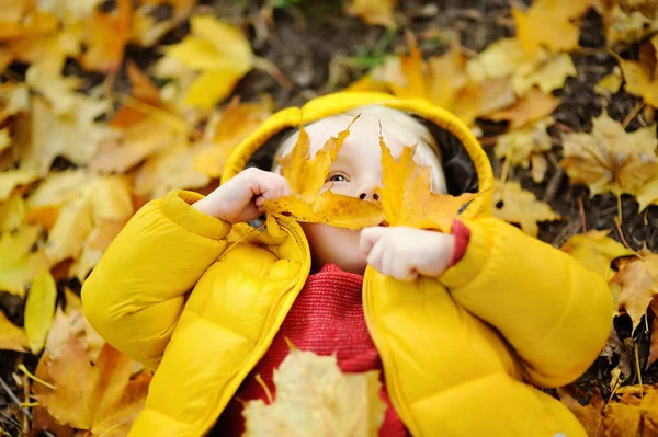 A kisgyermek boldog aranyos fiú birtoklás móka-val őszi levelek — Stock Fotó
