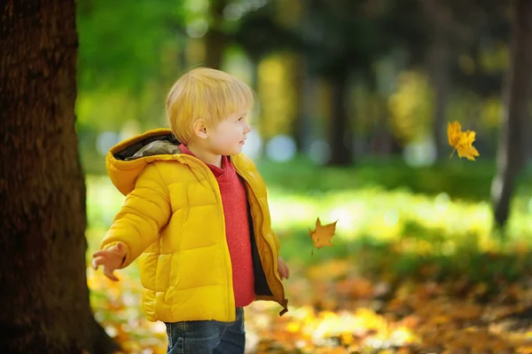 Sonbahar yaprakları ile eğleniyor mutlu sevimli yürümeye başlayan çocuk