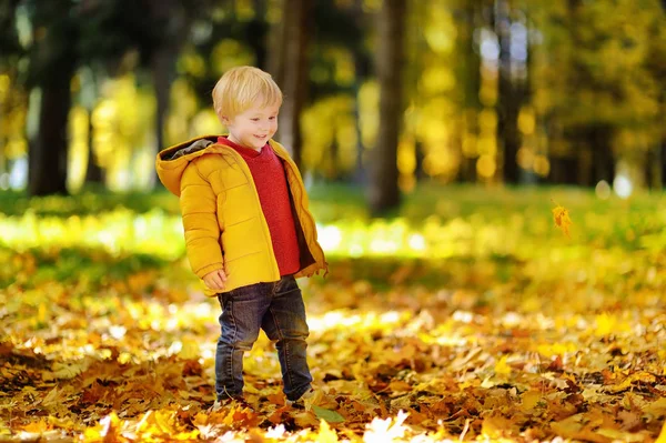 Feliz lindo niño divirtiéndose con hojas de otoño — Foto de Stock