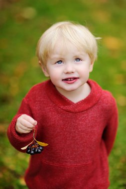 Siyah kuş üzümü bahçede toplama şirin yürümeye başlayan çocuk