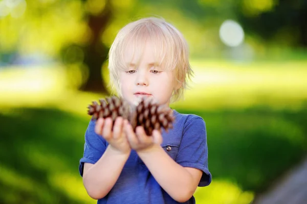 Schattige kleine jongen spelen met twee grote dennenappels buitenshuis — Stockfoto