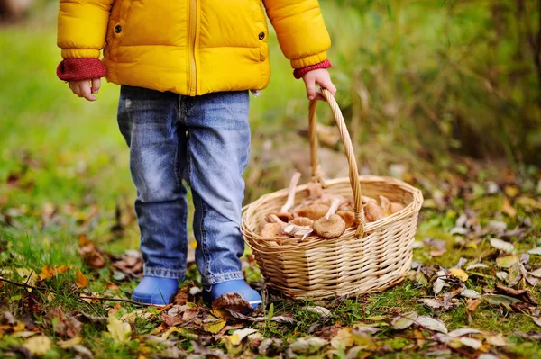 Detail fotografie malého chlapce sběr hub v košíku — Stock fotografie