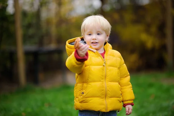 Cute little boy picking mushroom in autumn day — Stock Photo, Image