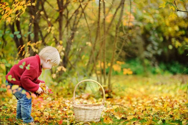 Niño jugando en otoño parque / bosque — Foto de Stock