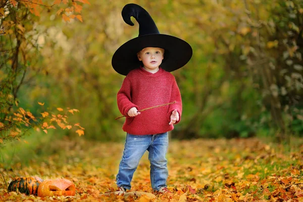 Bambino ragazzo in cappello a punta giocare con la bacchetta magica all'aperto — Foto Stock