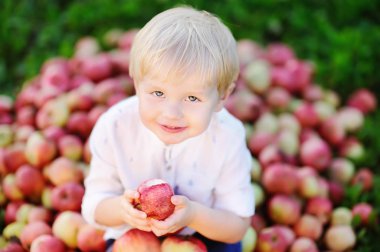 İç bahçede olgun elma yiyen sevimli yürümeye başlayan çocuk