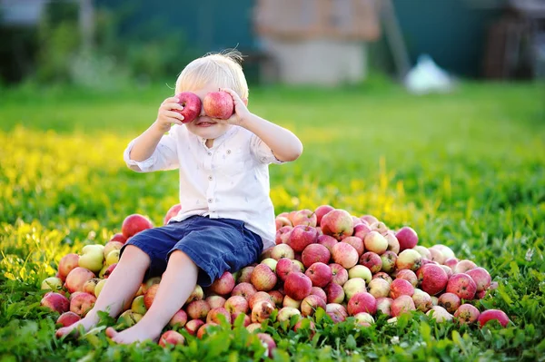 Divertido niño sentado en un montón de manzanas y comiendo manzana madura en el jardín doméstico — Foto de Stock