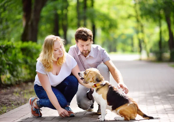 Unga par med beaglehund i parken sommaren — Stockfoto