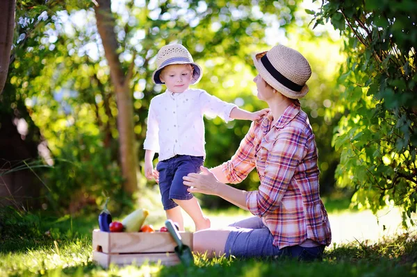 Schöne Frauen und ihr kleiner Enkel genießen die Ernte — Stockfoto