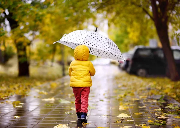 Küçük çocuk yağmurlu sonbahar günü şehir parkta yürüyüş — Stok fotoğraf