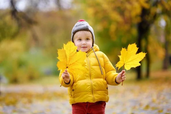 Little child walking in the city park at autumn day — Stock Photo, Image