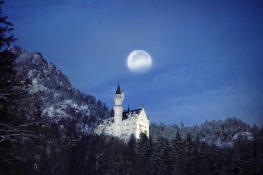 Muhteşem gece sahne royal castle Neuschwanstein ve çevresi Bavyera, Almanya (Deutschland)