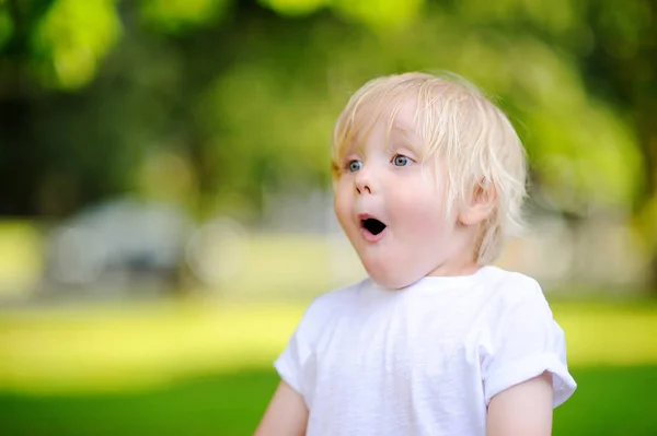 Outdoors portrait of cute emotional little boy — Stock Photo, Image