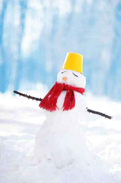 Boneco de neve artesanal com cachecol, chapéu de balde e nariz-cenoura no parque nevado com fundo azul — Fotografia de Stock