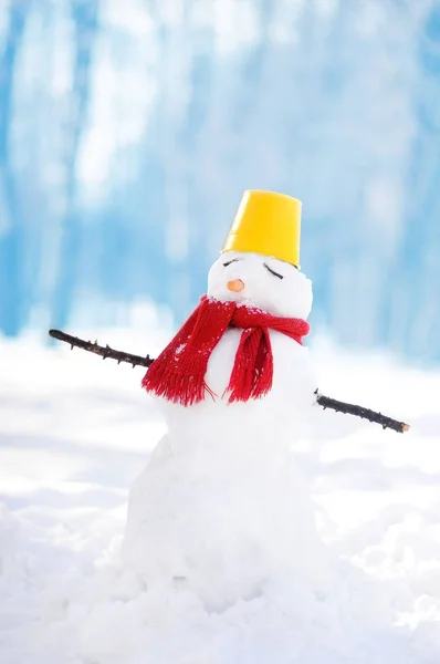 Handmade snowman with scarf, bucket-hat and nose-carrot in snowy park with blue background — Stock Photo, Image