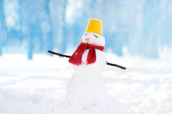 スカーフ、バケツの帽子、青い背景の雪に覆われた公園の鼻にんじんと手作りの雪だるま — ストック写真