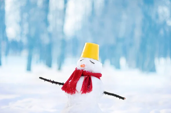 Muñeco de nieve hecho a mano con bufanda, sombrero de cubo y zanahoria en el parque nevado con fondo azul —  Fotos de Stock
