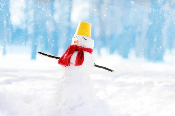 Handmade snowman with scarf, bucket-hat and nose-carrot in snowy park with blue background — Stock Photo, Image