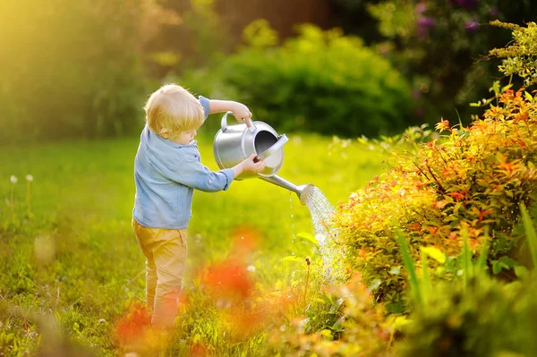 Netter Kleinkind Junge gießt Pflanzen im Garten an einem sonnigen Sommertag — Stockfoto