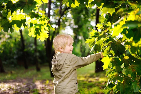 Ritratto di carino bambino felice divertirsi nel parco estivo dopo la pioggia — Foto Stock