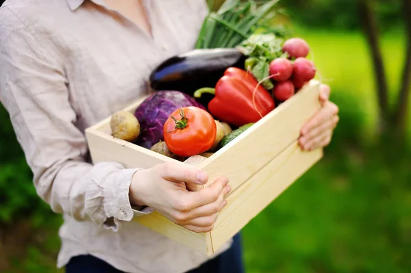 Kvinnlig trädgårdsmästare håller trälåda med färska ekologiska grönsaker från gården — Stockfoto