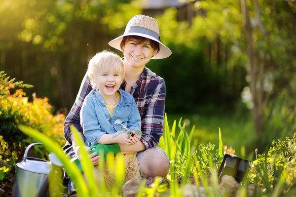 Schöne Frau und ihr süßer Sohn pflanzen an Sommertagen Setzlinge im Beet im heimischen Garten — Stockfoto