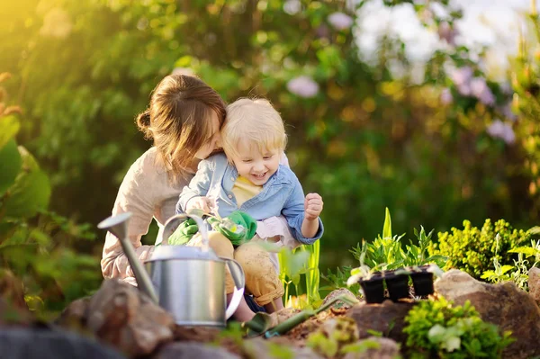 Hermosa mujer joven y su lindo hijo plantando plántulas en la cama en el jardín doméstico en el día de verano —  Fotos de Stock