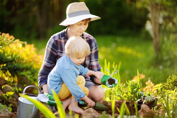 Krásná žena a její roztomilý syn výsadbu sazenic v posteli v domácí zahradě v letním dni — Stock fotografie