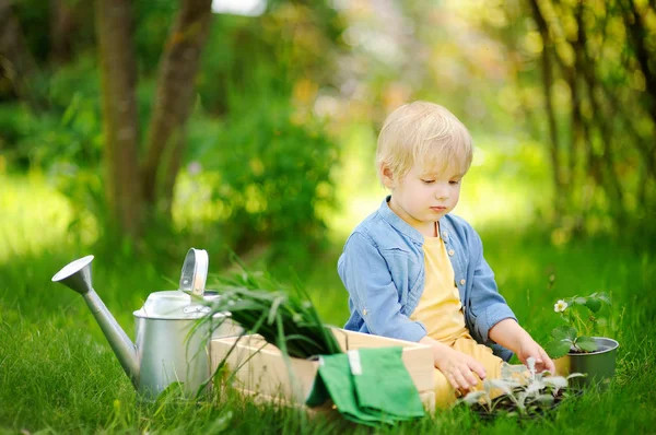 Lindo niño sosteniendo plántulas en macetas de plástico en el jardín doméstico en el día de verano — Foto de Stock