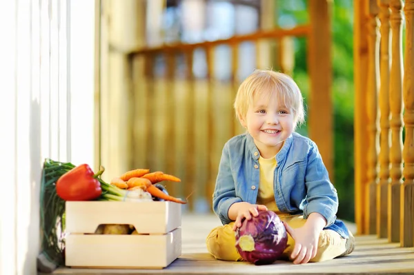 Anak kecil yang lucu menikmati panen organik di kebun domestik — Stok Foto