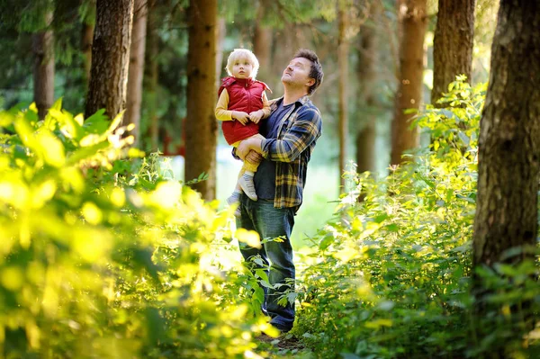 Vater und sein kleiner Sohn beim Wandern im Wald bei Sonnenuntergang — Stockfoto