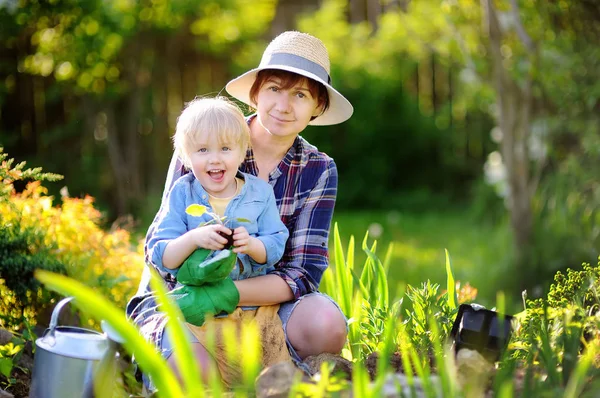 Krásná žena a její roztomilý syn výsadbu sazenic v posteli v domácí zahradě v letním dni — Stock fotografie