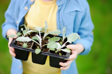 Küçük çocuk yaz güneşli gün iç bahçe plastik tencere fide holding