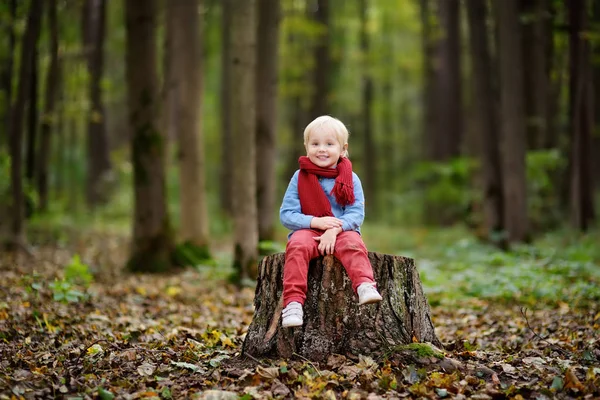 Kleine jongen zitten op houten stomp tijdens wandeling in het bos — Stockfoto