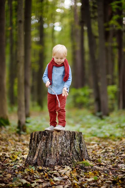 Ragazzino che gioca su ceppo di legno durante una passeggiata nella foresta — Foto Stock