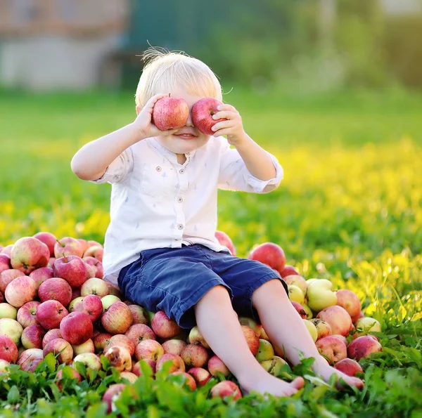 Divertido niño sentado en un montón de manzanas y comer Appl maduro — Foto de Stock