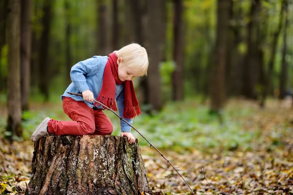 Malý kluk hraje na dřevěnou protézu během procházky v lese — Stock fotografie